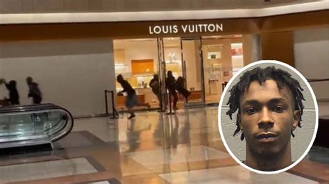 flash mob robbery louis vuitton|louis vuitton merchandise.